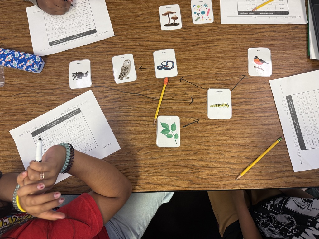 Here’s an alt text that can work for the entire group of photos: **Alt text:** Fifth grade students work collaboratively in small groups to create food webs during a hands-on science activity. Students arrange picture cards of plants, animals, fungi, and bacteria on their tables and draw arrows to show feeding relationships and the flow of energy through an ecosystem. Students also complete worksheets identifying producers, consumers, and decomposers.