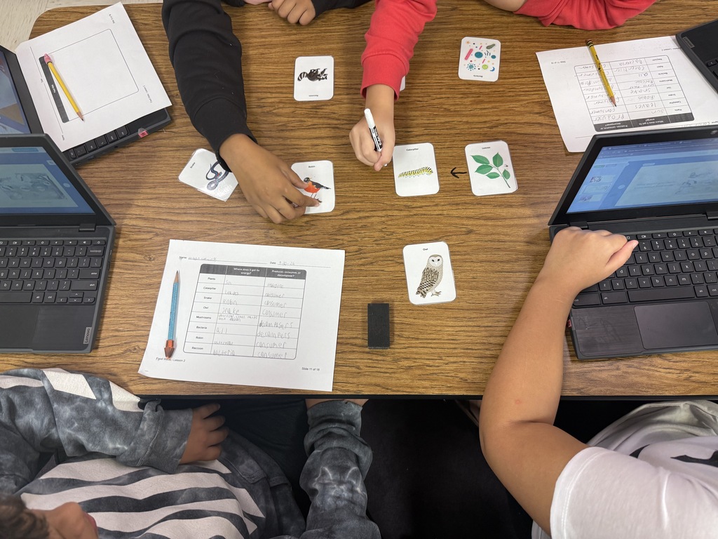 Here’s an alt text that can work for the entire group of photos: **Alt text:** Fifth grade students work collaboratively in small groups to create food webs during a hands-on science activity. Students arrange picture cards of plants, animals, fungi, and bacteria on their tables and draw arrows to show feeding relationships and the flow of energy through an ecosystem. Students also complete worksheets identifying producers, consumers, and decomposers.