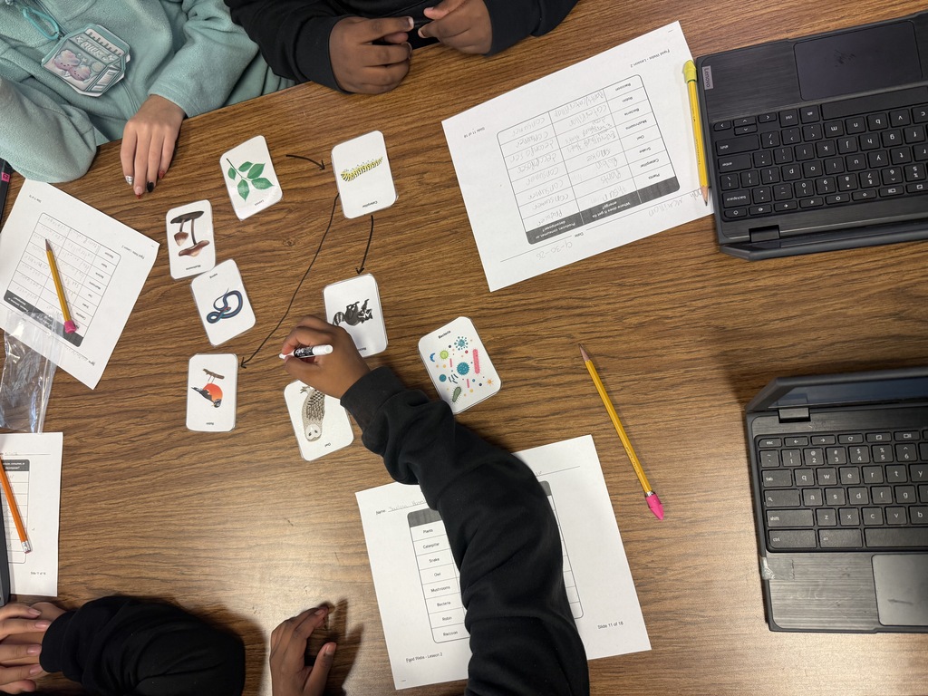 Here’s an alt text that can work for the entire group of photos: **Alt text:** Fifth grade students work collaboratively in small groups to create food webs during a hands-on science activity. Students arrange picture cards of plants, animals, fungi, and bacteria on their tables and draw arrows to show feeding relationships and the flow of energy through an ecosystem. Students also complete worksheets identifying producers, consumers, and decomposers.
