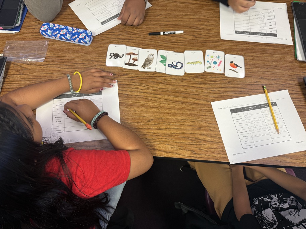 Here’s an alt text that can work for the entire group of photos: **Alt text:** Fifth grade students work collaboratively in small groups to create food webs during a hands-on science activity. Students arrange picture cards of plants, animals, fungi, and bacteria on their tables and draw arrows to show feeding relationships and the flow of energy through an ecosystem. Students also complete worksheets identifying producers, consumers, and decomposers.