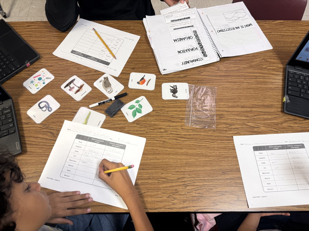 Here’s an alt text that can work for the entire group of photos: **Alt text:** Fifth grade students work collaboratively in small groups to create food webs during a hands-on science activity. Students arrange picture cards of plants, animals, fungi, and bacteria on their tables and draw arrows to show feeding relationships and the flow of energy through an ecosystem. Students also complete worksheets identifying producers, consumers, and decomposers.