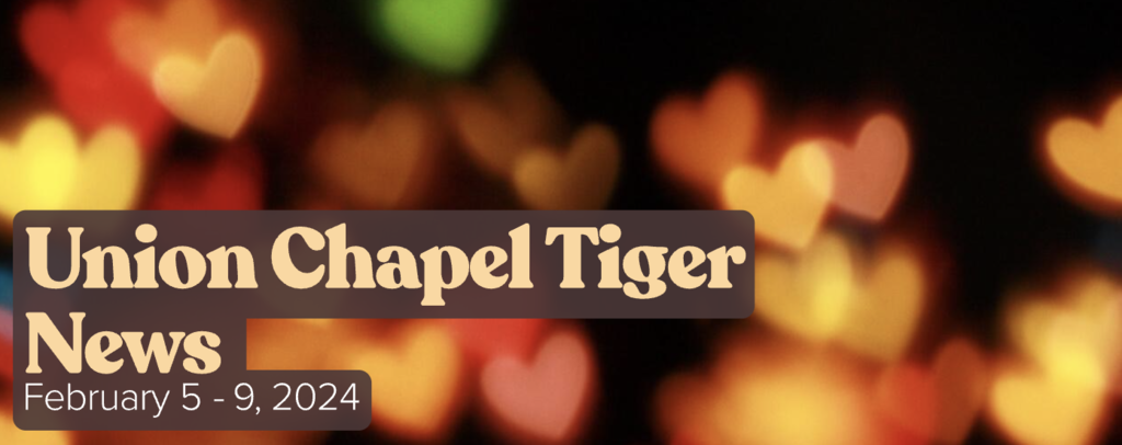 Tiger News