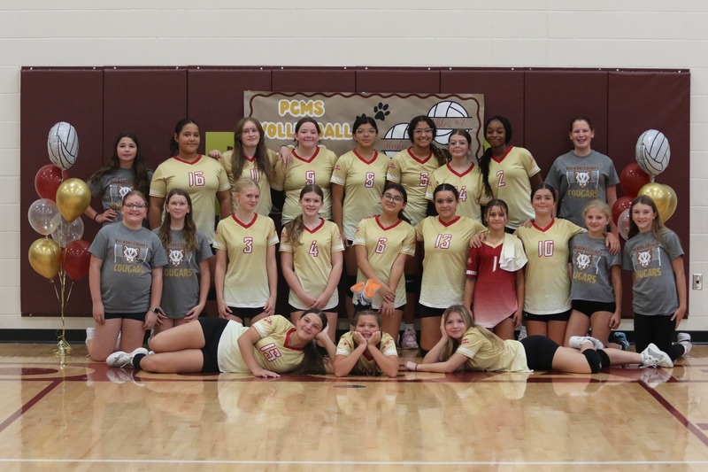 vball