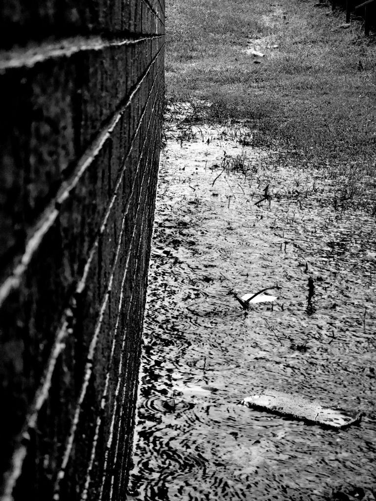 AP Art studies contrast & lighting