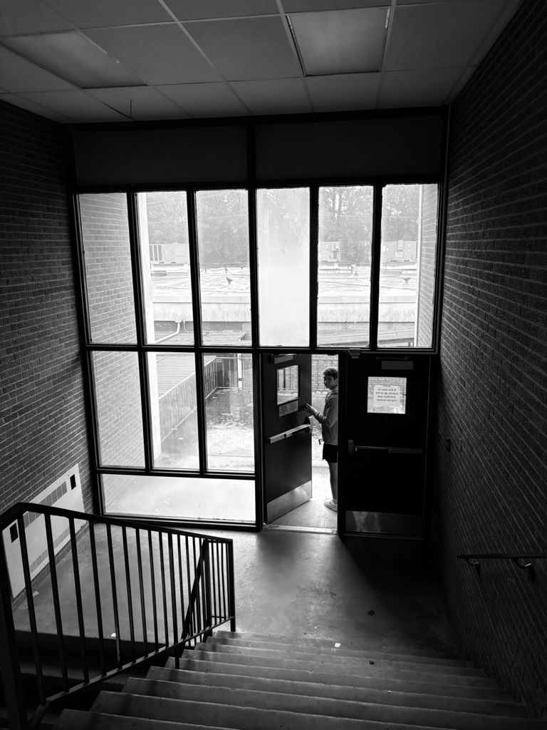AP Art studies contrast & lighting