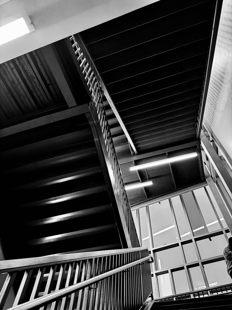 AP Art studies contrast & lighting