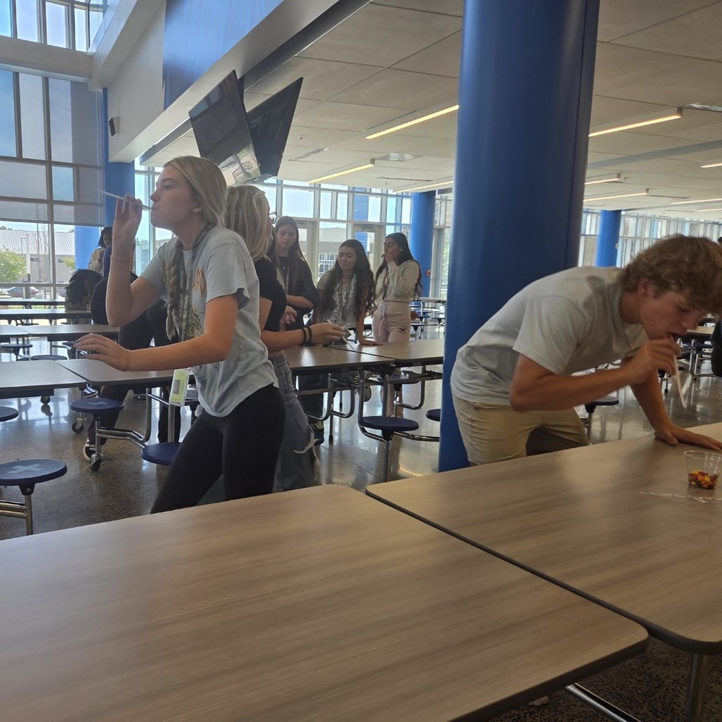 Team building in AVID