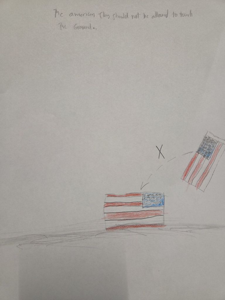 AVID: Drawing the Flag Code