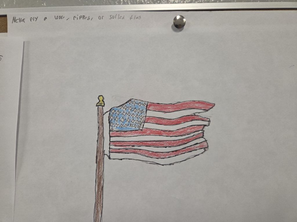 AVID: Drawing the Flag Code