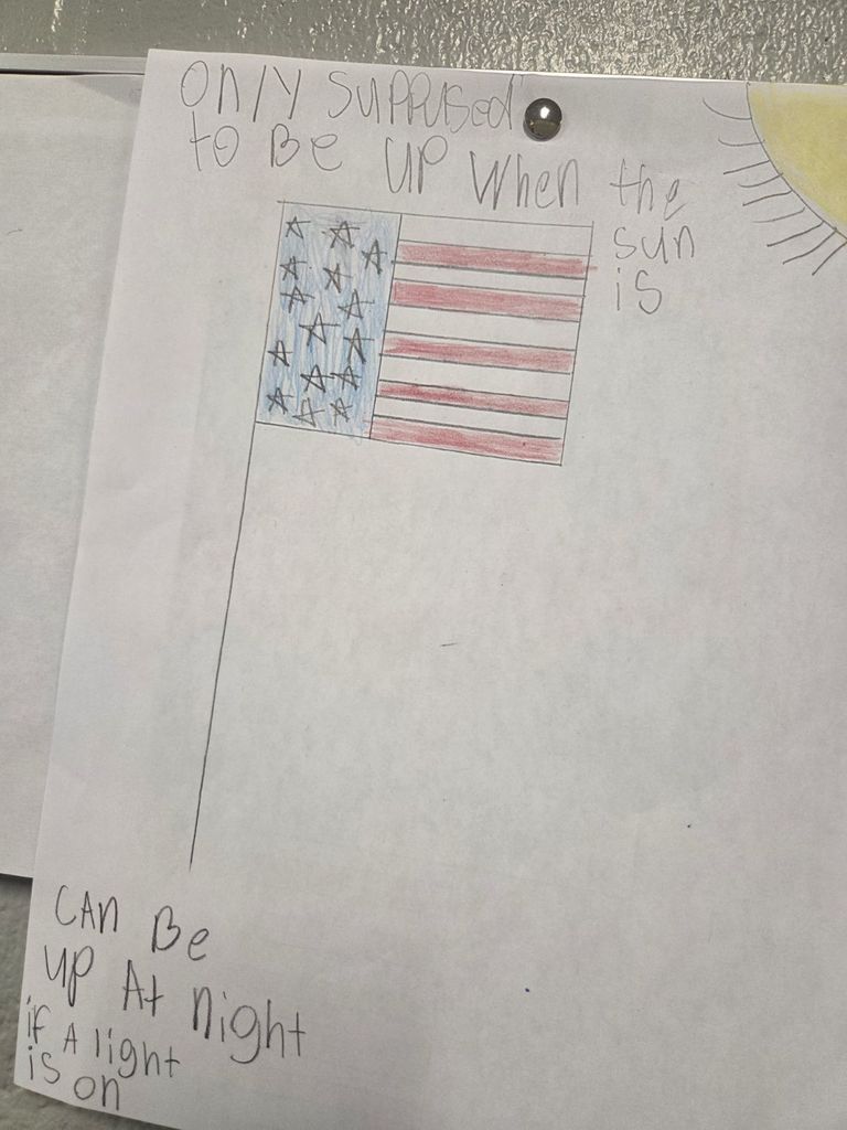AVID: Drawing the Flag Code