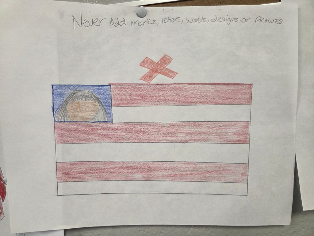 AVID: Drawing the Flag Code