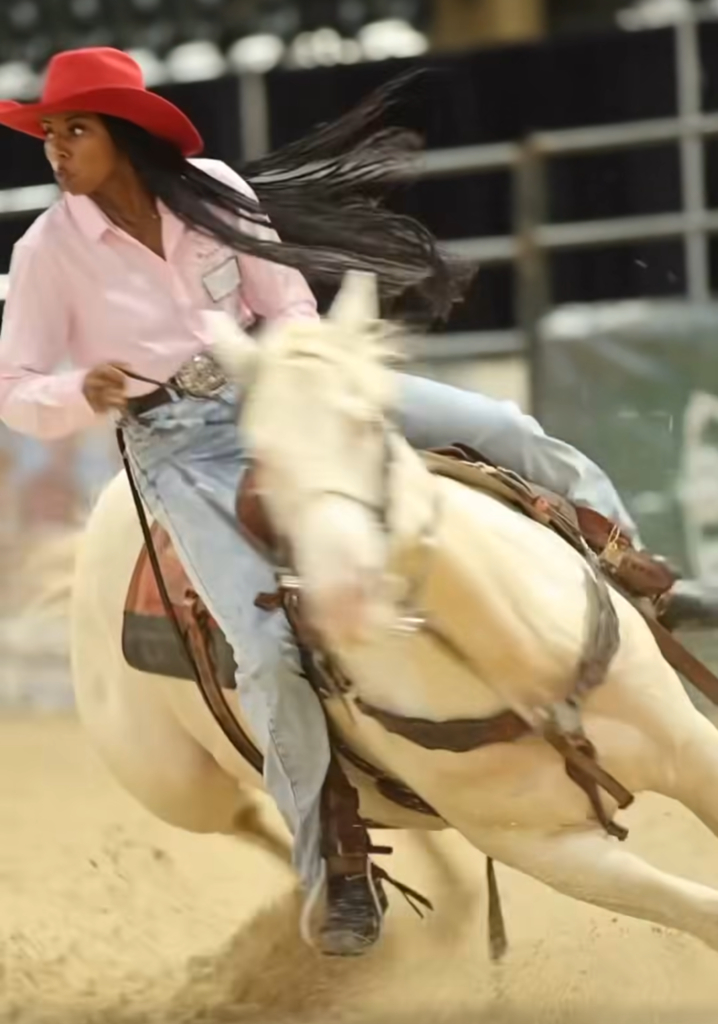 Paris Wilburd Horse