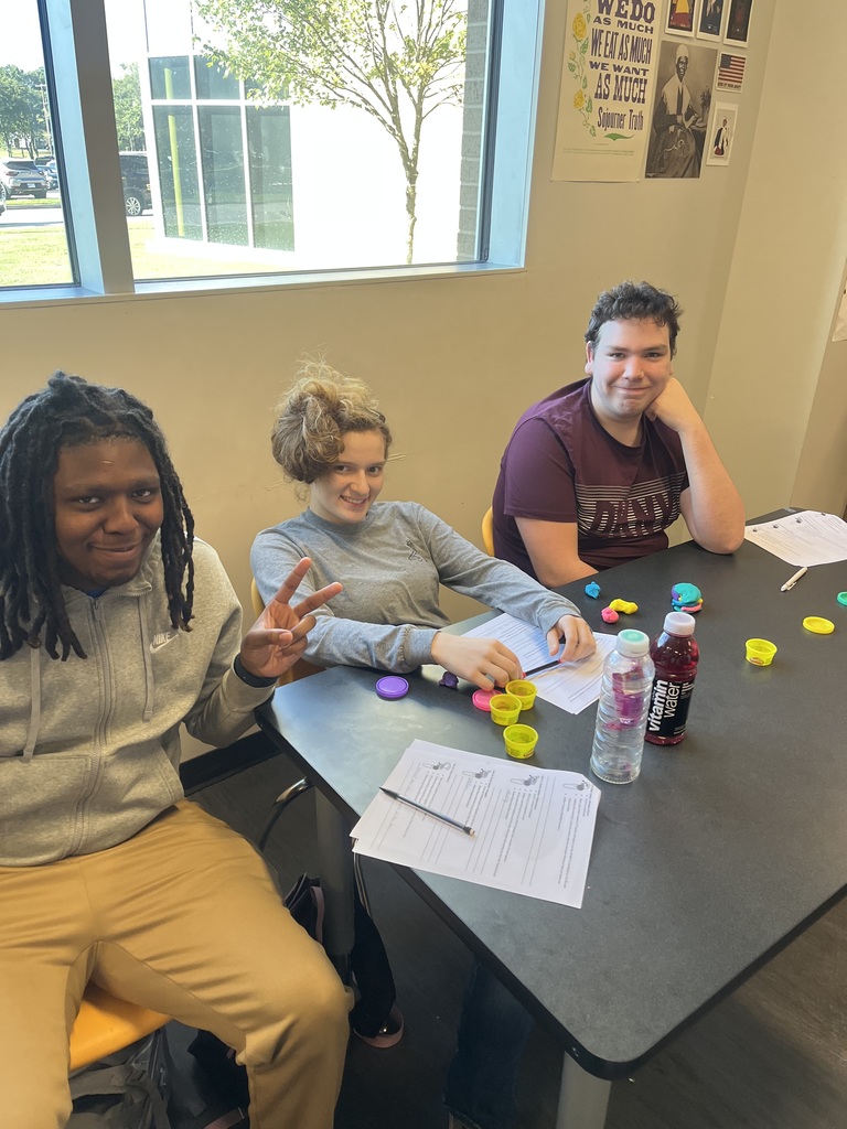 Students building brains