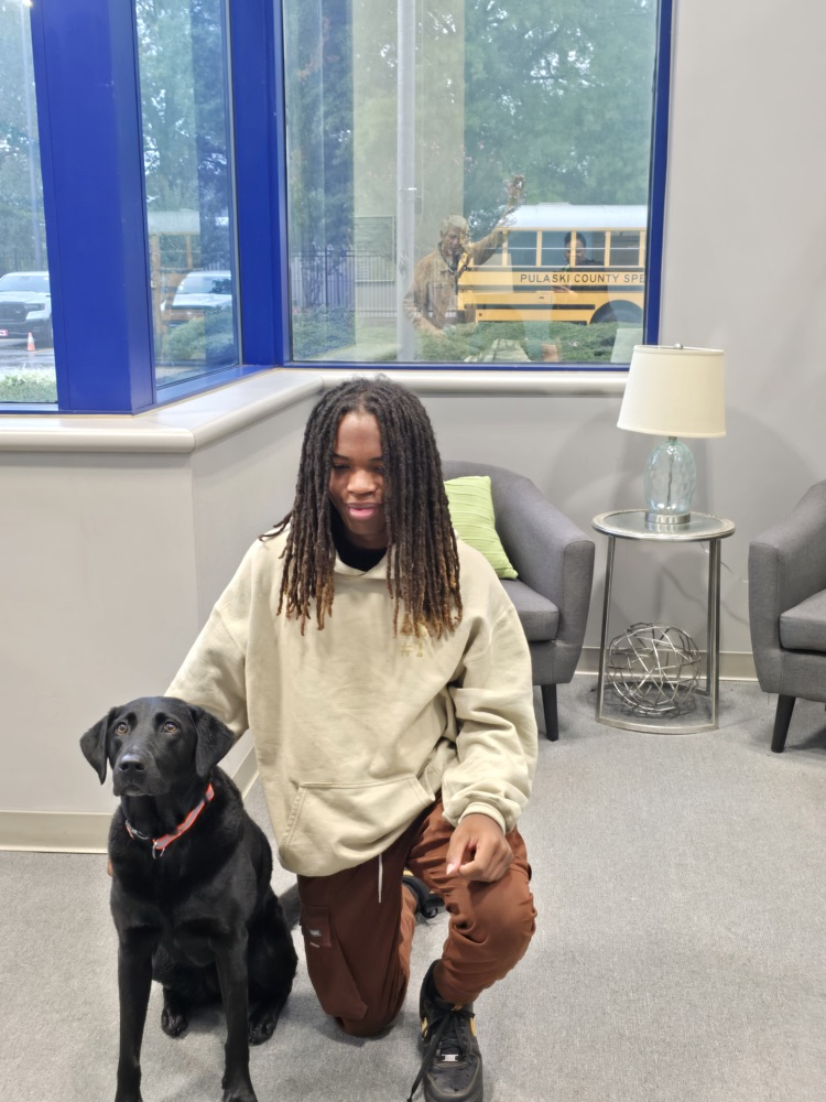 A person with dreadlocks sitting on a couch next to a black dog, with a school bus visible through the window.