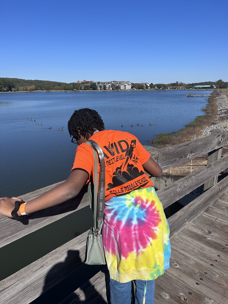 Picture of Mills Middle School AVID scholar on wooden walking bridge admiring the lake at Lake Willastein