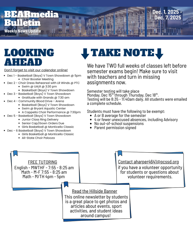 BEARmedia Bulletin 12.12025