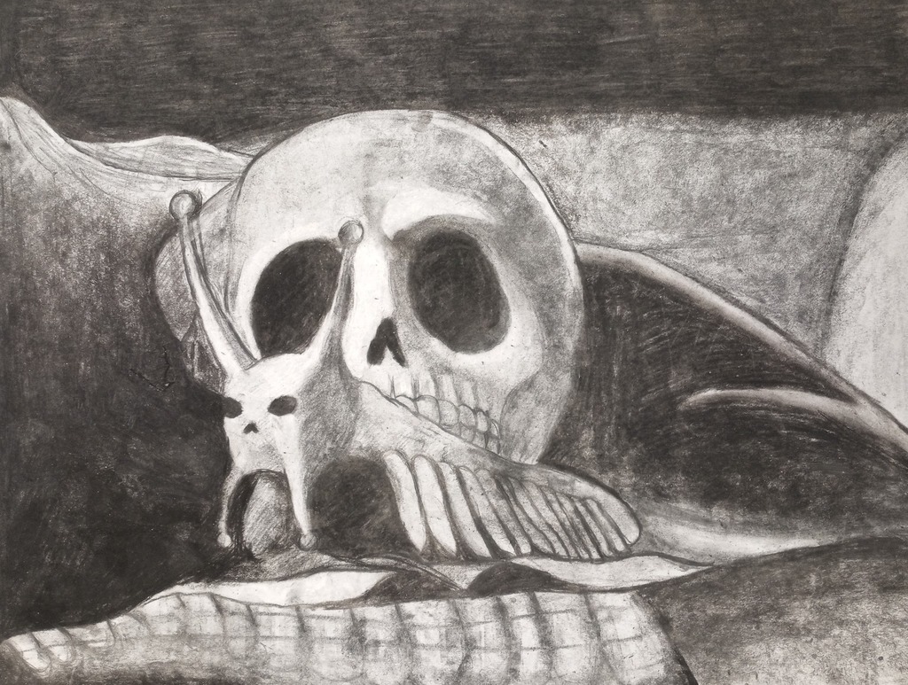 Still life in pencil
