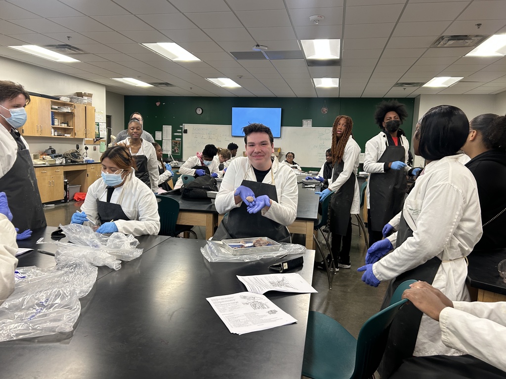 Student who successfully removed pig brain