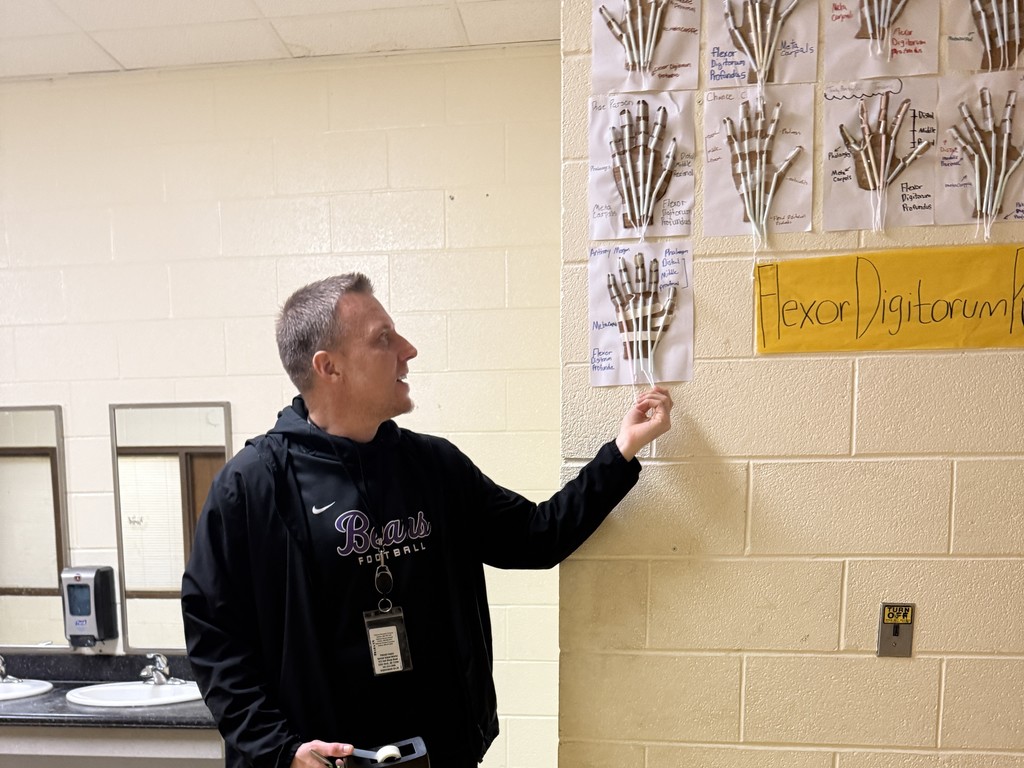 Coach Gilliland pointing to cardboard hands using straws for bones and string for tendons. By pulling the strings, students modeled how muscles contract to move joints, just like in the human body.