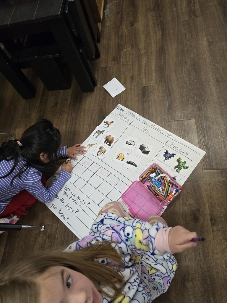 Mrs. DeWitt's kindergarten students worked in collaborative groups to classify and sort objects, then used their data to create bar graphs.