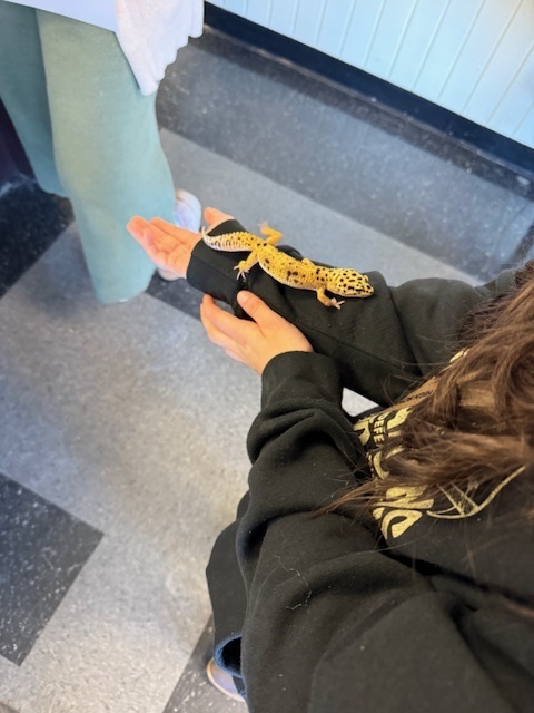 Maurice the Leopard Geico