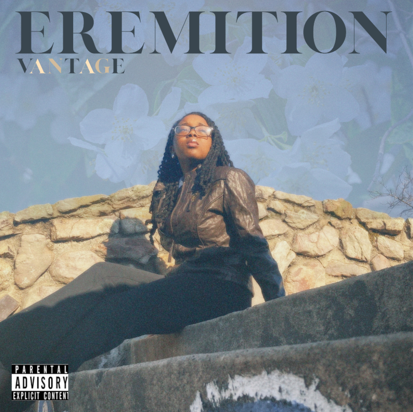 AP Art: 2D Design Album Cover