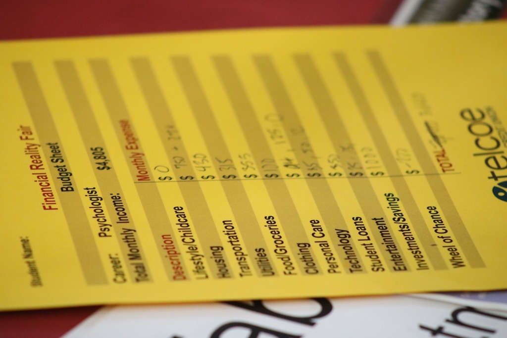 A student's monthly budget for a psychologist