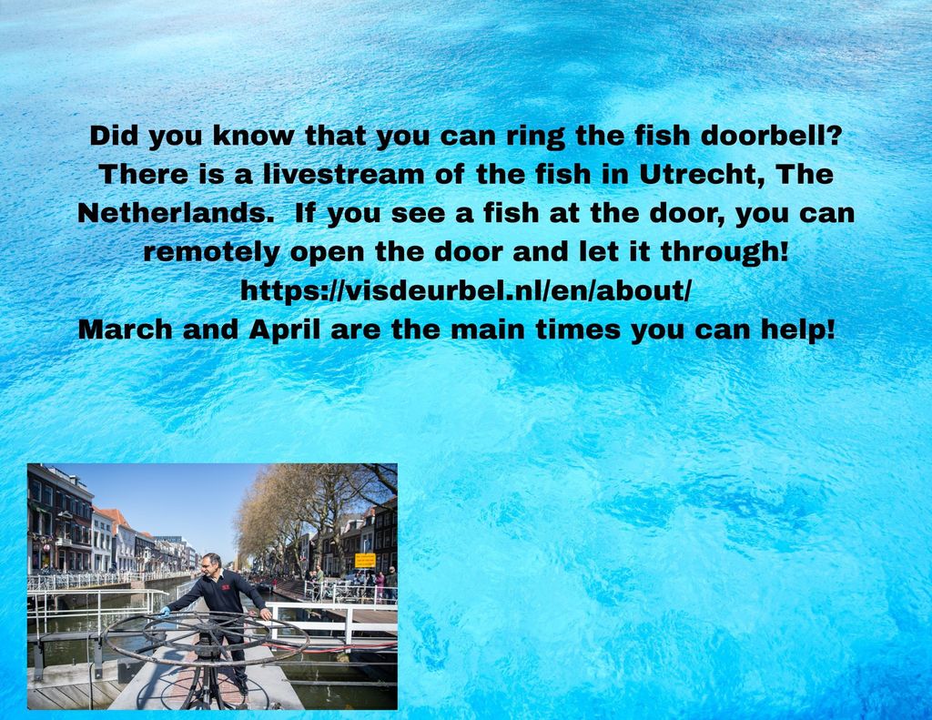 FYI!  The best times are early morning and evening!