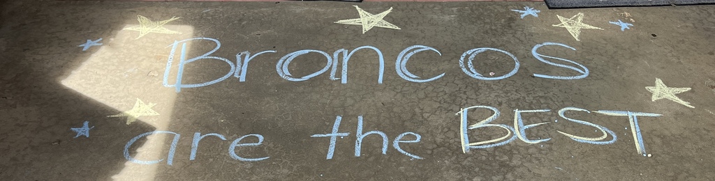 Broncos are the best