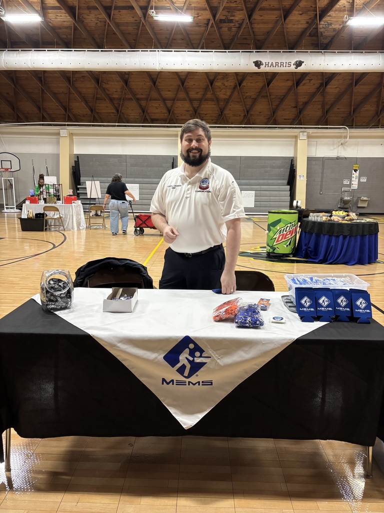 MEMS came to tell the students about their industry.