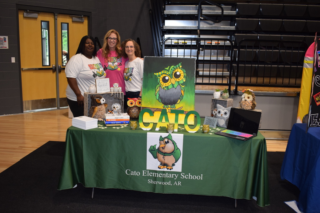 Cato Elementary School table