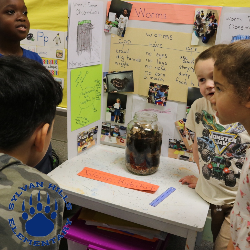 Classroom worm‑study display board with student observations and a jar labeled “Worm Habitat.”
