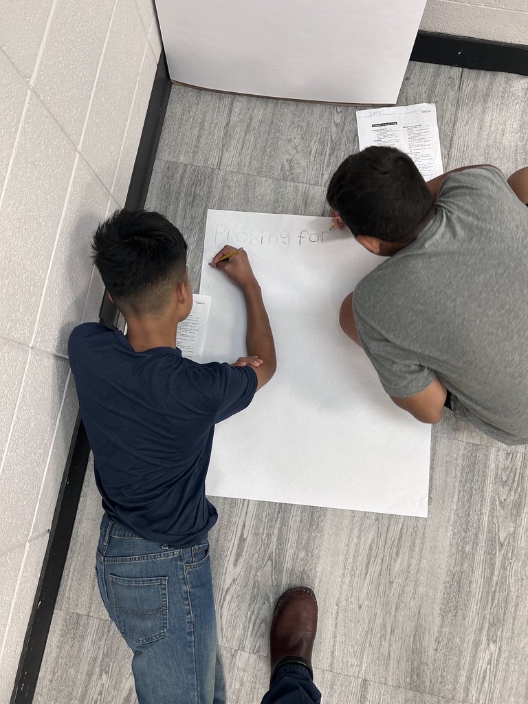 AVID Excel Summer Bridge Pic 5 - Anchor Chart Poster activity
