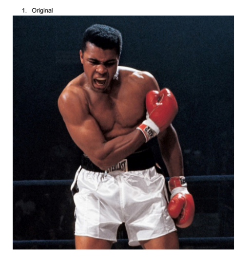Famous photo of Muhammad Ali in the boxing ring