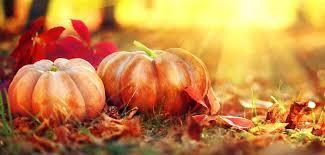 pumkins