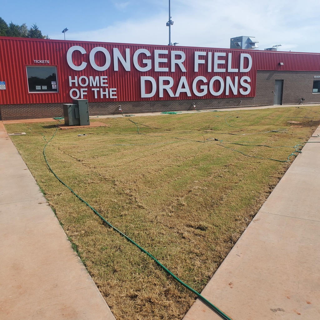 conger
