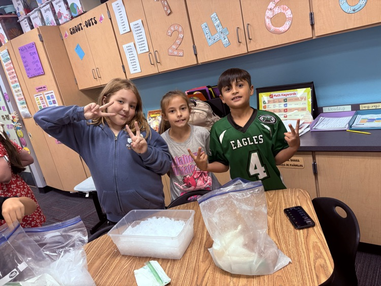 Ice Cream in a Bag! 