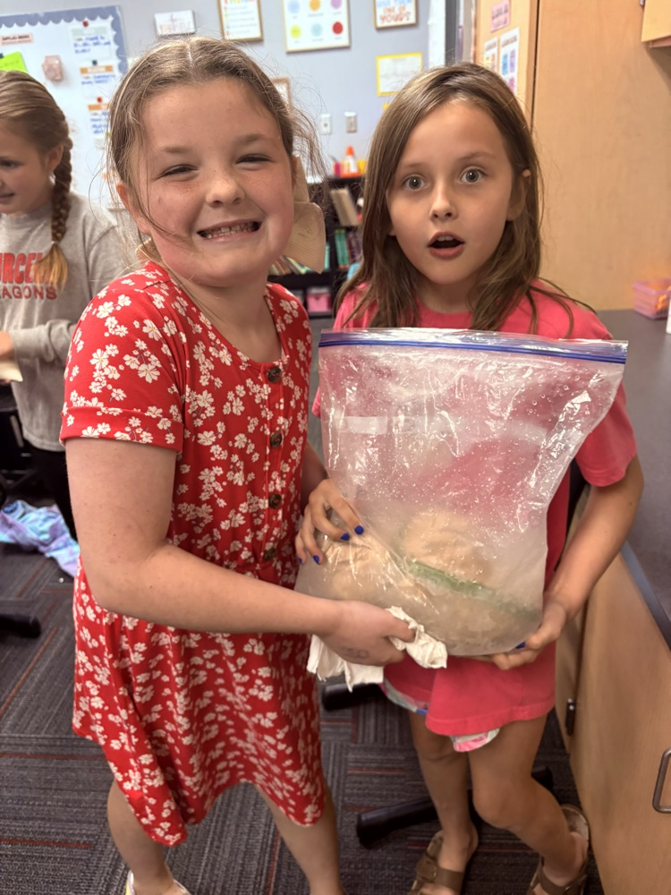 Ice Cream in a Bag! 