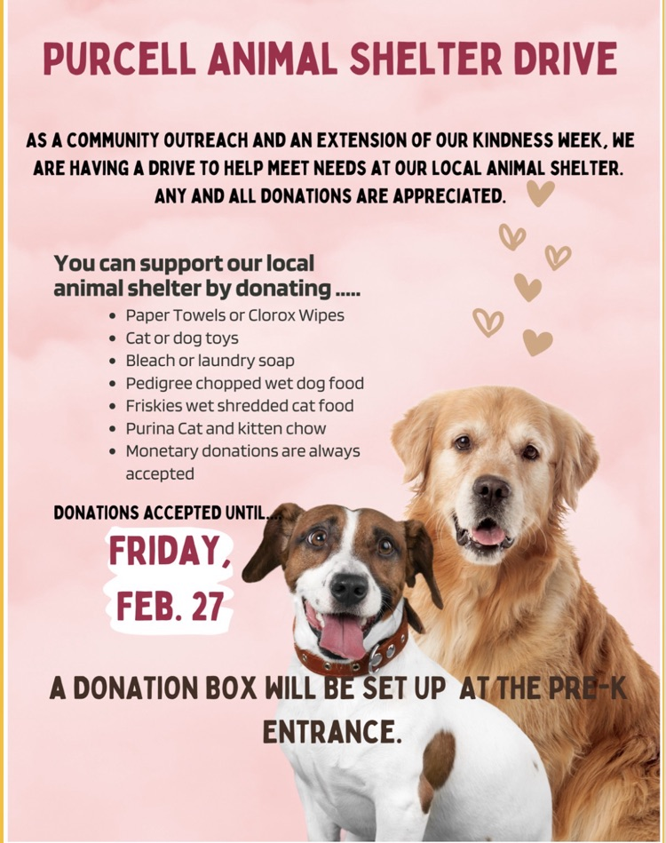 animal shelter donations 