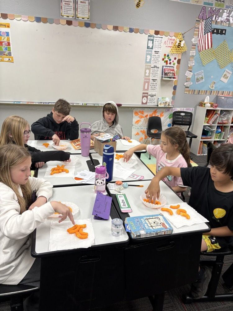 Pollination Experiment