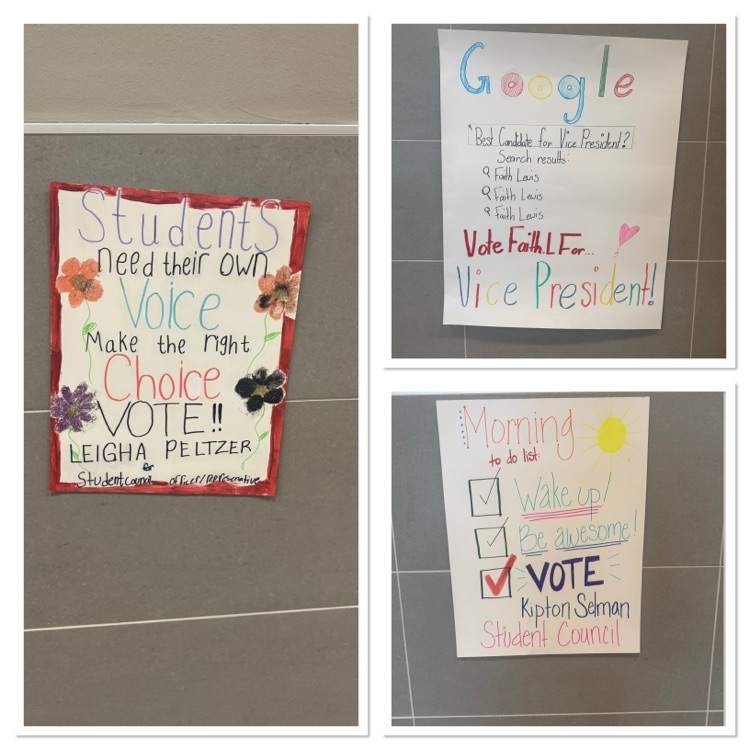 stuco 