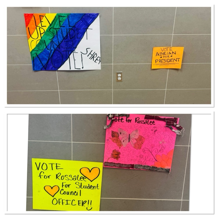 stuco 