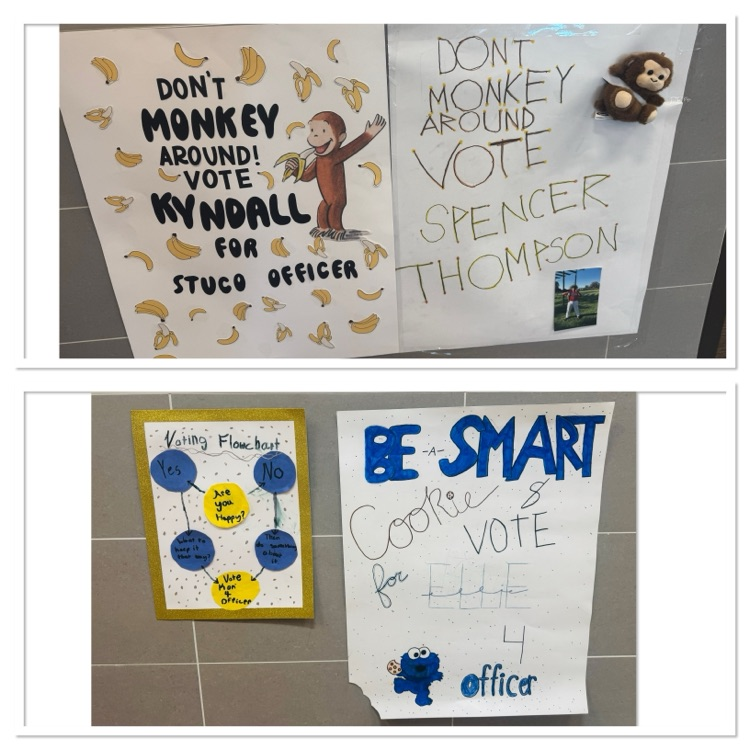 stuco 