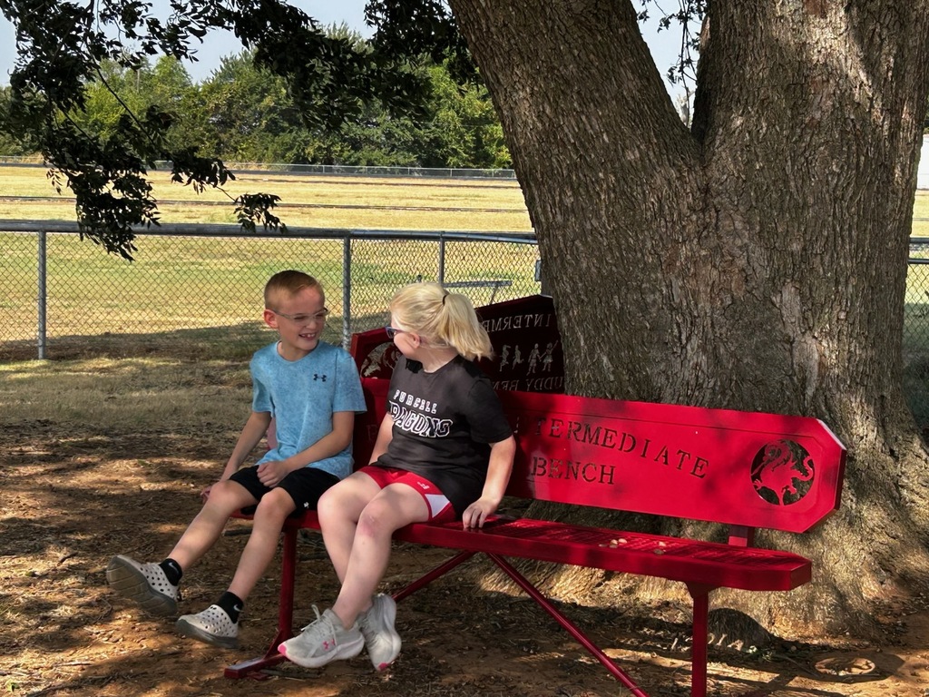 Buddy Bench #3