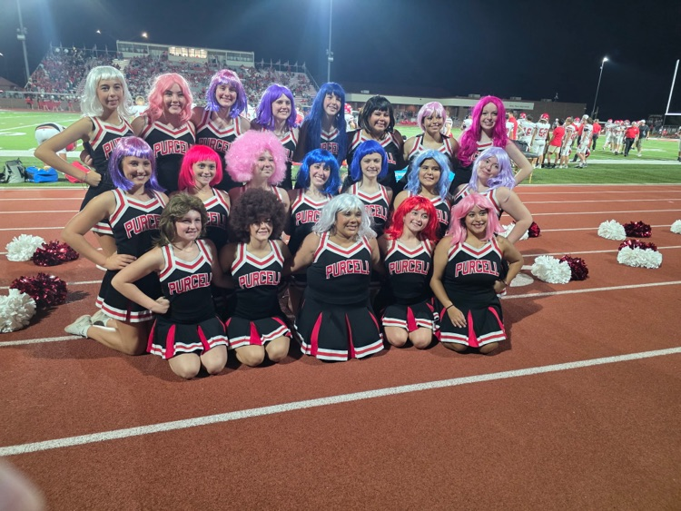 Purcell Dragons