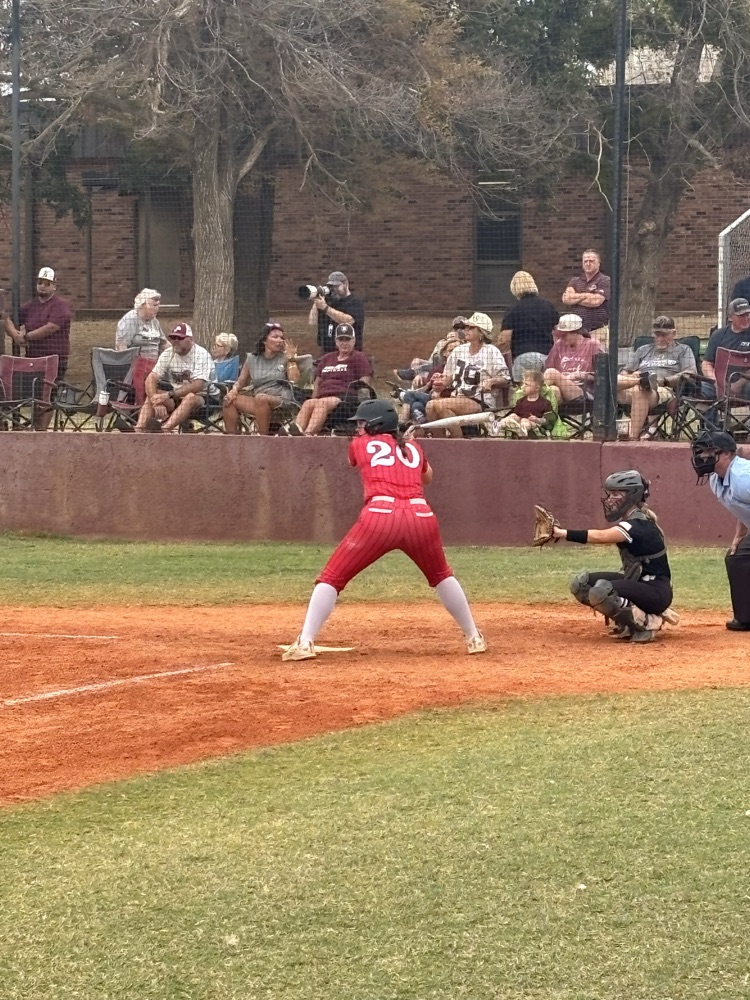 Dragon Softball
