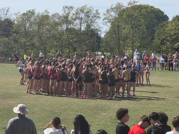 cc
