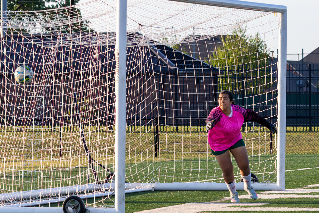 A goalkeeper in a bright pink jersey dives toward a ball sailing toward the goal, inside the net.