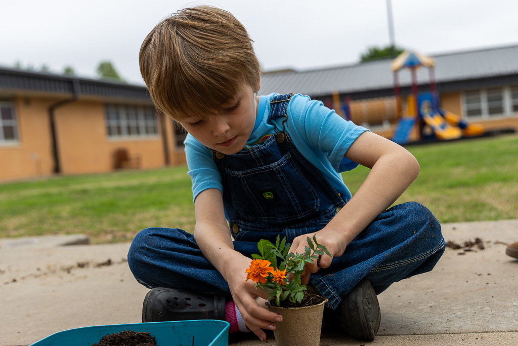 boy plants flower