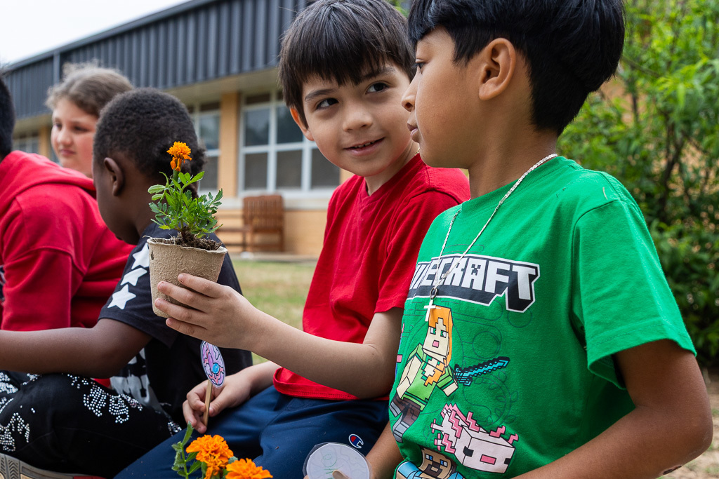 boys planting flowers